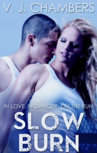 Slow Burn Cover